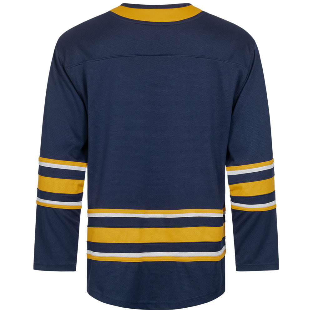 Sabres de Buffalo LNH Fanatics Breakaway Hommes Maillot de hockey sur glace 879MBSAH2BBBWH