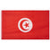 Tunisie Drapeau MUWO 