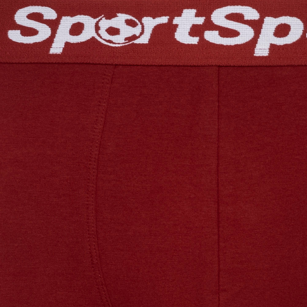 Sportspar.de Herren "Double Sparbuchse" Boxershorts 2er-Pack weinrot